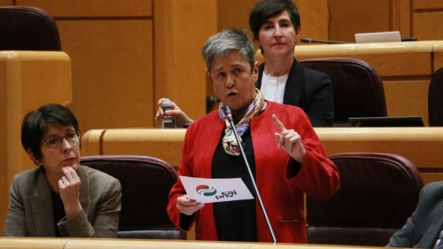 EAJ-PNVk Irunen iragaitzazko migratzaileei arreta emateko zerbitzuei buruz galdetuko dio Espainiako Gobernuari