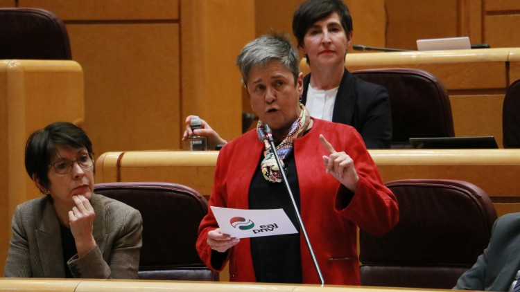 EAJ-PNVk Irunen iragaitzazko migratzaileei arreta emateko zerbitzuei buruz galdetuko dio Espainiako Gobernuari