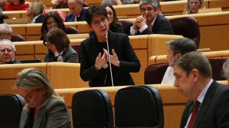 EAJ-PNVk otsoaren babes-mailari buruz duen jarrera zehaz dezala eskatuko dio Luis Planas ministroari