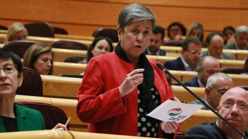 Nerea Ahedo Ceza - Bozeramaile laguntzailea