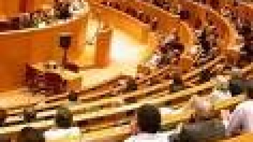 Senadore Jeltzaleen Legebiltzar Taldeak asteartean emango dio hasiera Senatuko osoko bilkuren azken saioari