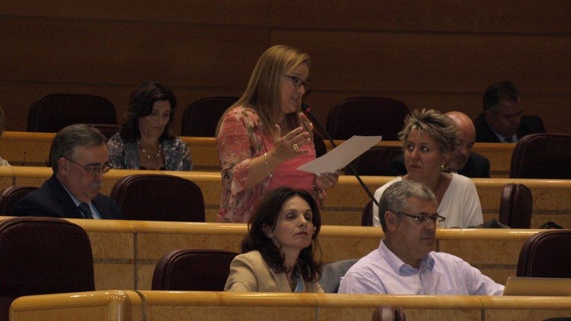 Sustapen ministroak Iruneko Ventaseko tren geralekua 2015eko ekainean guztiz berrituta egongo dela erantzun dio Iparragirre senatariari