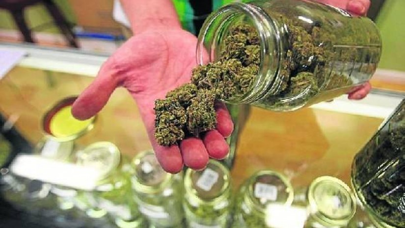 EAJk Kanabis Gizarte Elkarteen jarduera arautzeko eskatu dio Estatuko Gobernuari