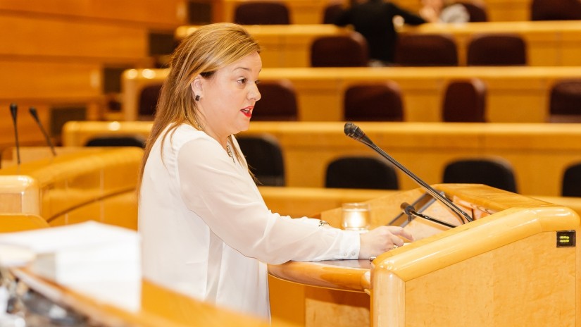 EAJk kontsentsua aldarrikatu du emakumeen kontrako indarkeria desagerrarazteko politikei ekiteko