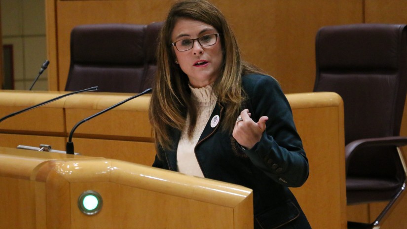 Artelanak erakusteko Estatuaren bermea museo gehiagotara zabaltzea eskatu dio Almudena Otaolak Kultura eta Kirol ministroari