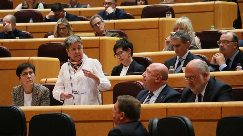 EAJ-PNVk asilo-eskatzaileen izapideak arintzeko premiatuko du Estatuko Gobernua