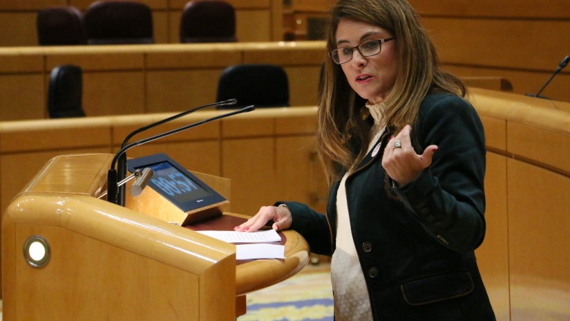 Almudena Otaolak Joko Paralinpikoetan Down sindromea duten kirolarientzako kategoria bat sortzea eskatu du, hauekiko “diskriminazioarekin" amaituz