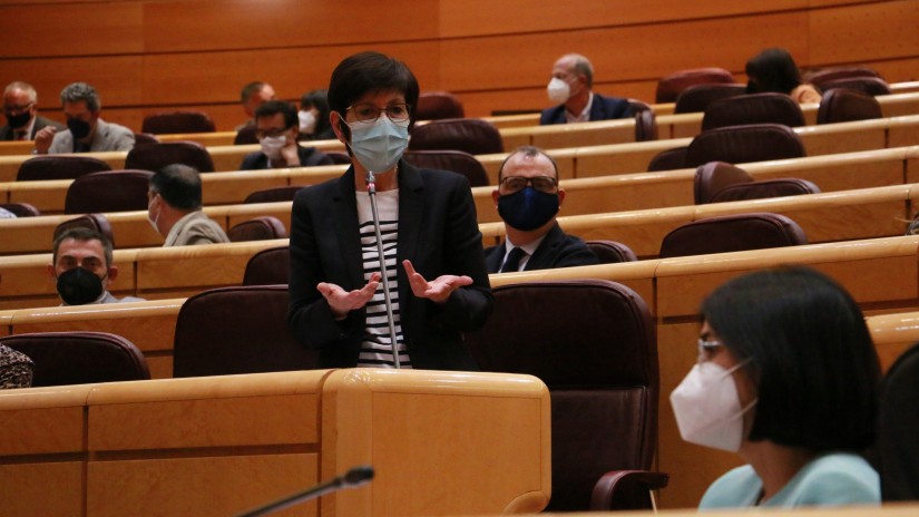 EAJ-PNVk Gobernu zentralaren "arduragabekeria" kritikatu du, pandemiaren kudeaketan "osasuna judizializatu" duelako