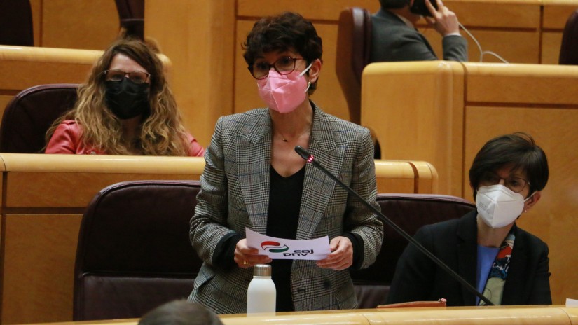 Maribel Vaquerok Etxebizitza Legea “lur ahul eta arriskutsuan eraikitzen” dela ohartarazi dio Estatuko Gobernuari