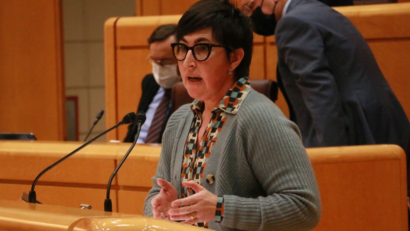 Senatuak Kontzertu Ekonomikoaren aldaketa onartu du, hiru zerga berri gehituz