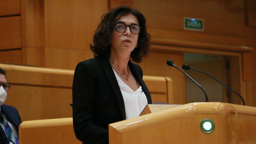 Rosa Peralek autonomia erkidegoek eta unibertsitateek bere diziplina-prozedura ezartzea defendatu du