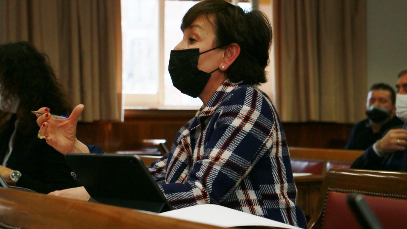 EAJ-PNVk proposatuta, Senatuak gaueko tarifa elektrikoa sortzea eskatu du enpresei kostuak merkatzeko