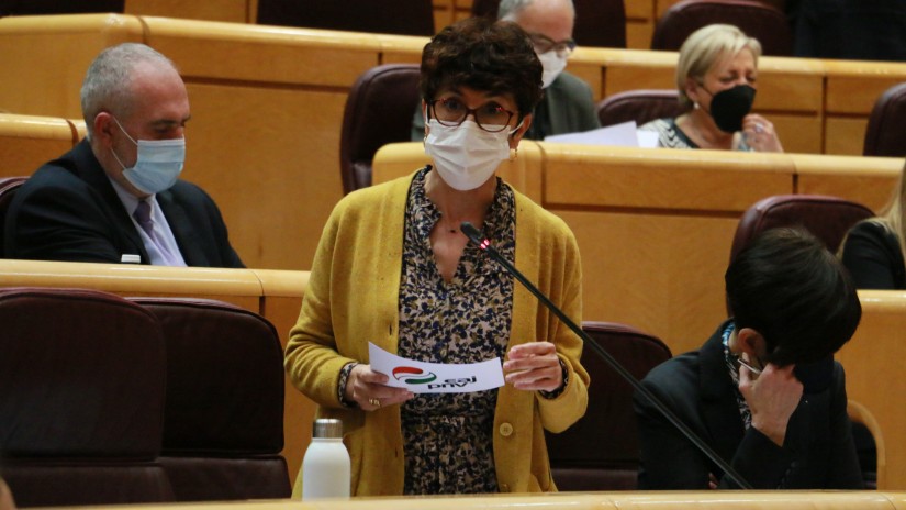 Maribel Vaquerok Euskadiko aldirietako zerbitzua hobetzeko neurri zehatzen plan bat eskatu dio Garraio ministroari