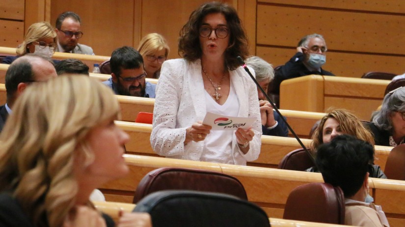 Rosa Peralek autonomia-erkidegoekin “lehenbailehen” lan egiteko eskatu dio Hezkuntza ministroari, unibertsitatera sartzeko proba berria zehazteko