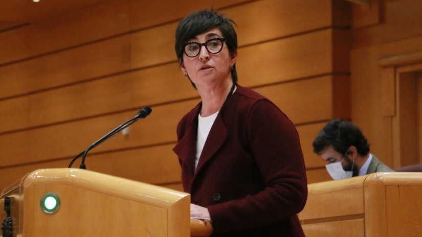 EAJ-PNVk webgune eta aplikazio informatikoek irisgarritasun-baldintza guztiak bete behar izatea ahalbidetu du