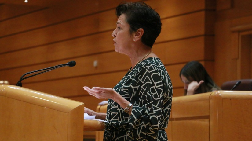 EAJ-PNVren ekimenez, etxeko langileen lan-baldintzak parekatzeko neurriak hartzeko eskatu dio Senatuak Espainiako Gobernuari