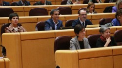 EAJ-PNVk Paralimpiadetan Down sindromea duten pertsonentzako kategoria espezifikoa sor dadin egin dituen gestioez galdetuko dio Espainiako Gobernuari