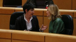 María Dolores Etxanok nazioarteko beste batzorde batzuekin bat egiteko deia egin dio Espainiako Gobernuari, Paralimpiadetan Down sindromearen kategoria propioa sortzeko helburuarekin