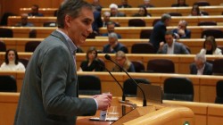 Igotz Lopezek aldiriko lineak Euskadira eskualdatzea eskatu du Senatuan