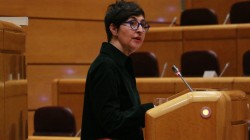 María Dolores Etxanok eskualdeko Perteak aktibatzea eskatu du, euskal proiektu estrategikoak garatzeko