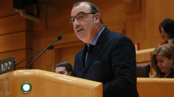 EAJ-PNVren ekimenez, Senatuak industriak Estatuko energia elektrikoaren garraio sarearen plangintzan parte har dezala eskatu du