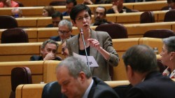 Nekazaritza Politika Bateratua malgutzeko neurriak Europak nola eta noiz aplikatuko dituen zehazteko eskatu dio Estefanía Beltrán de Herediak Luis Planas ministroari