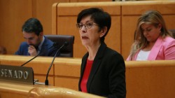 EAJ-PNVren iritziz, ez dago eskuduntza gatazkarik Amnistia Legearen Senatuko izapidetzan